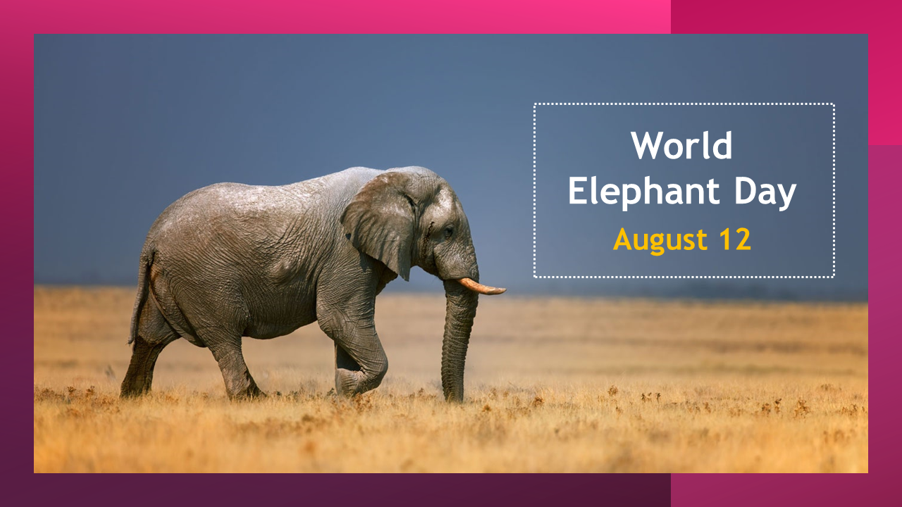 Creative World Elephant Day PowerPoint Presentation